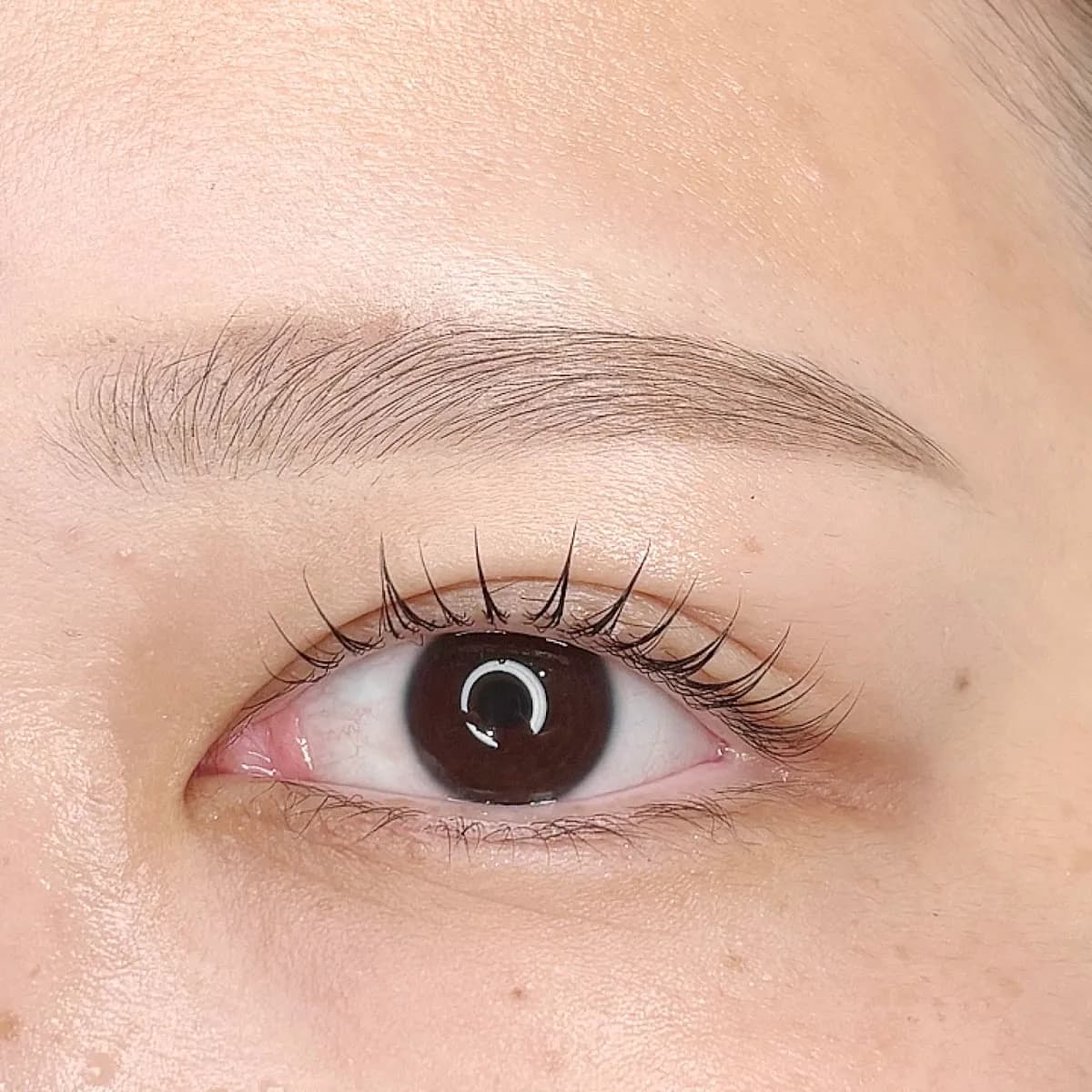 Eyelash&Eyebrow salonVERRY.