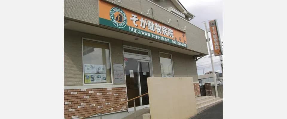 そが動物病院