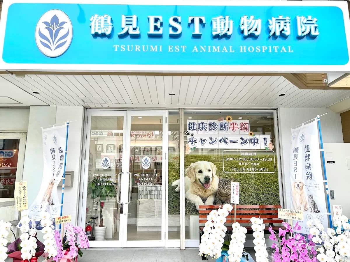 鶴見EST動物病院
