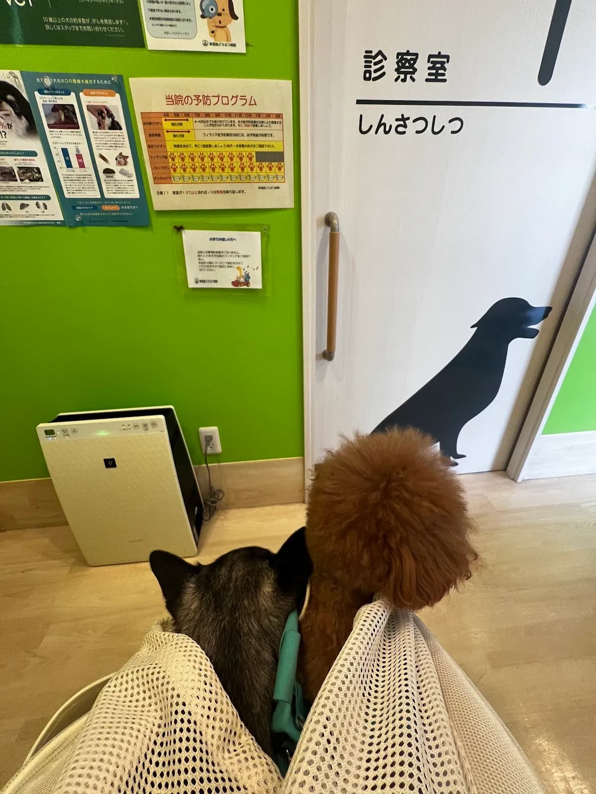 新福島どうぶつ病院