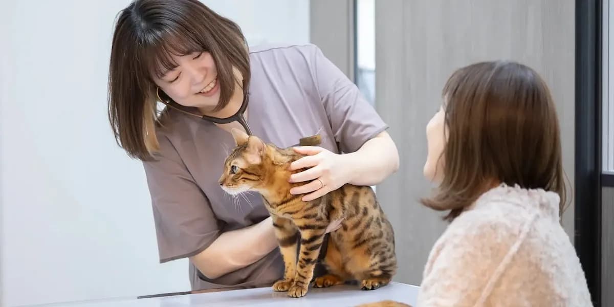 ボネールどうぶつ病院