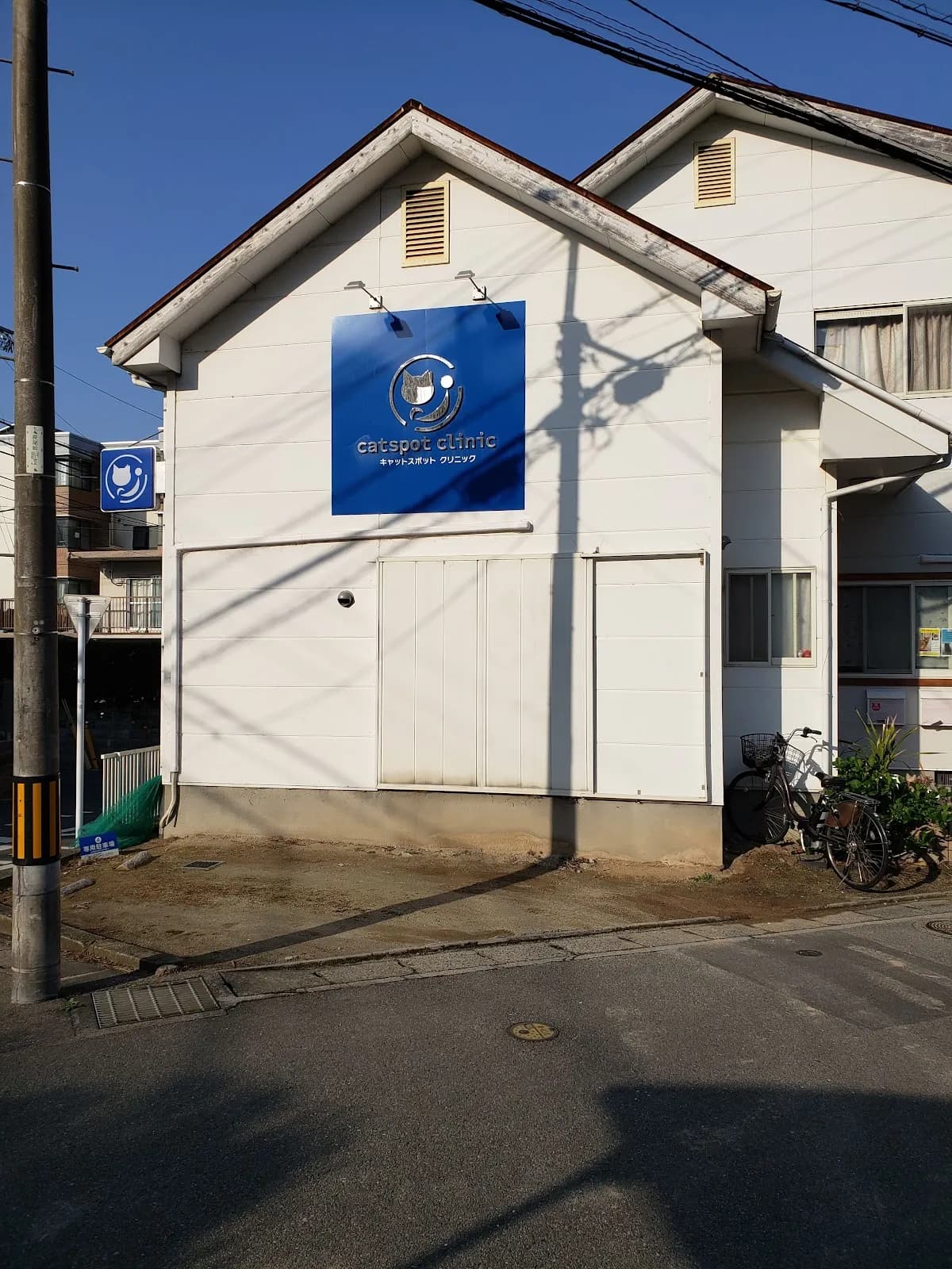 cat spot clinic