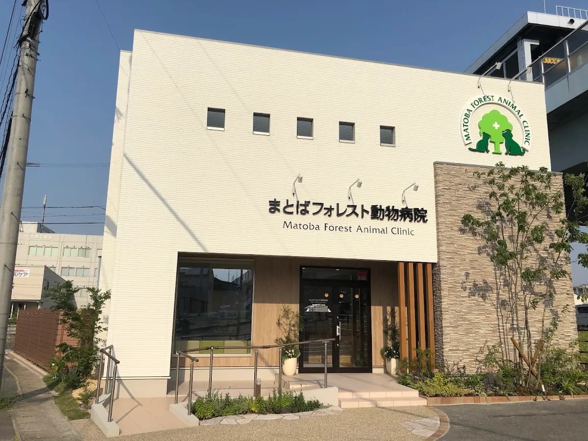まとばフォレスト動物病院