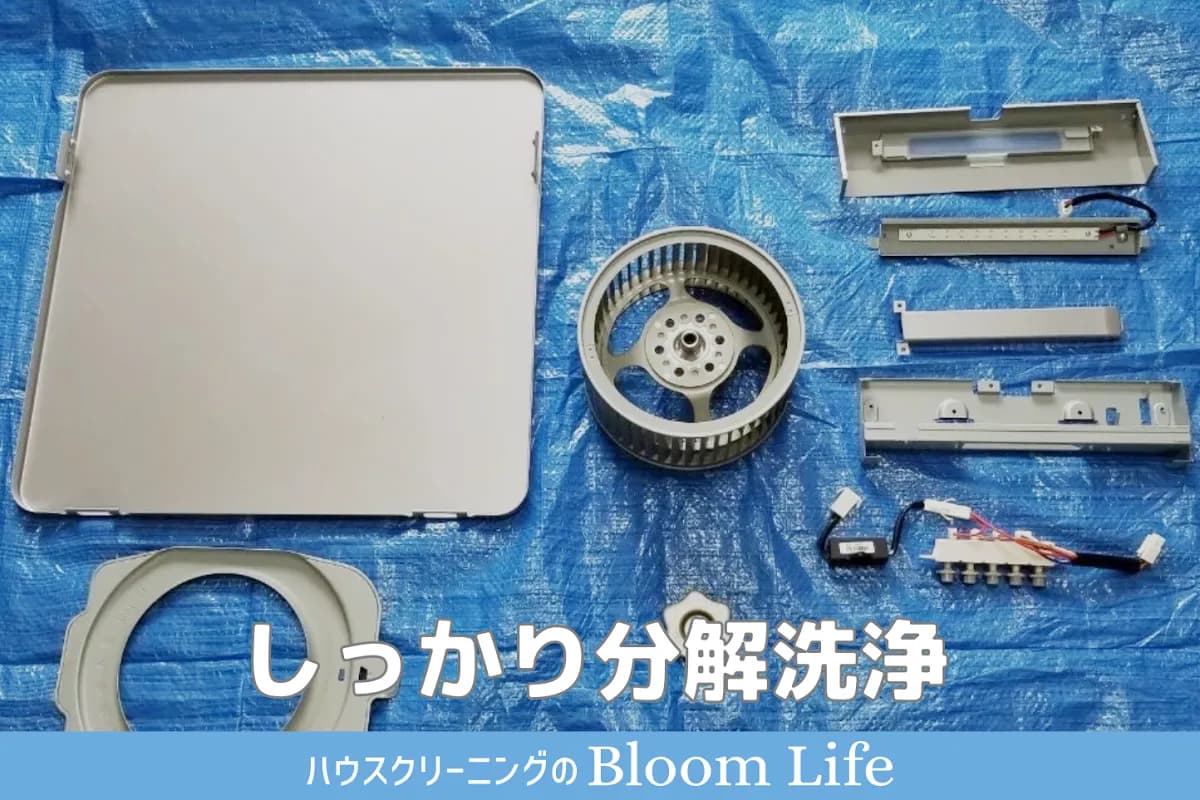ハウスクリーニングのブルームライフ〚Bloom Life〛