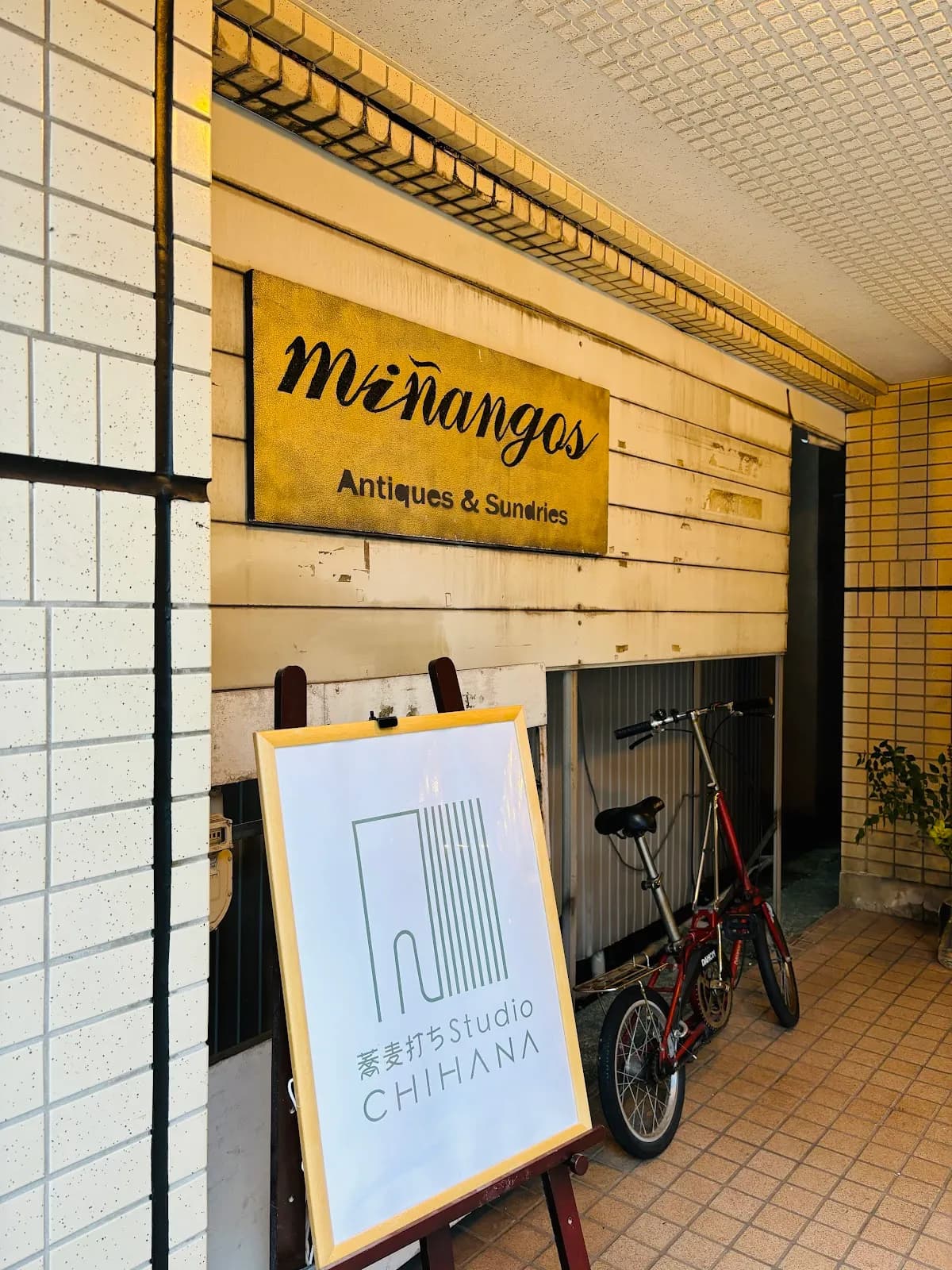 miñangos ミニャンゴス