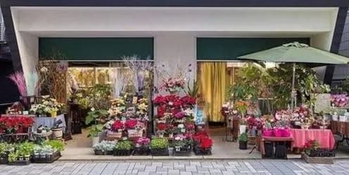 バラ保存のアミティエ・ノリ横浜エリア特約店｜花束持ち込みok