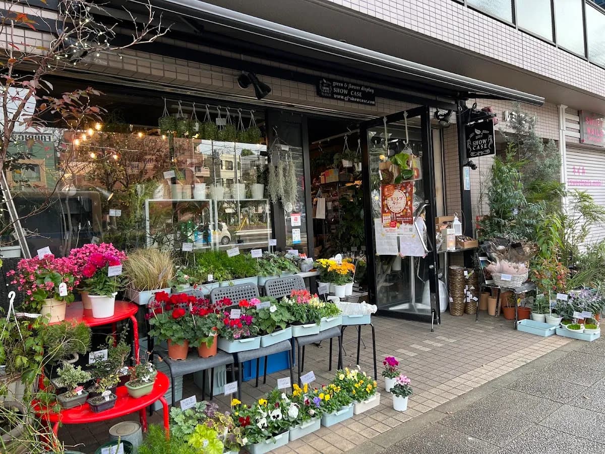 ショーケース横浜