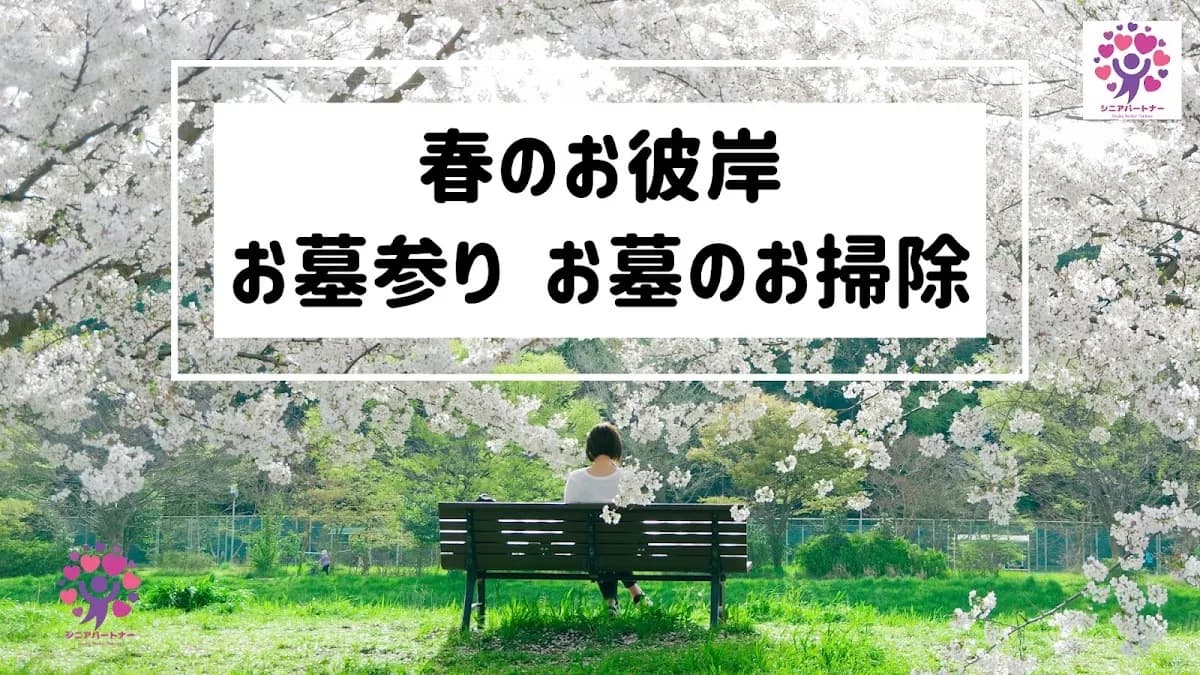 大阪シニアパートナー 買い物代行 病院付き添い 見守りカメラ設置