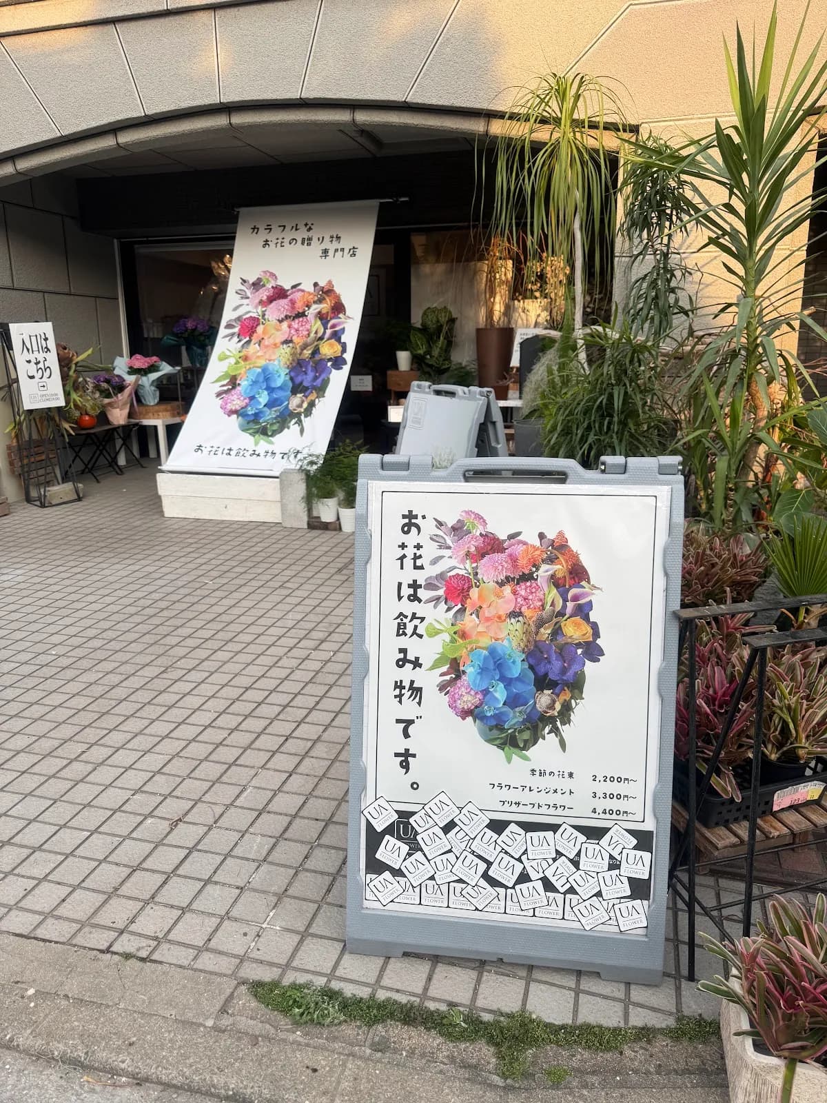 UA FLOWER