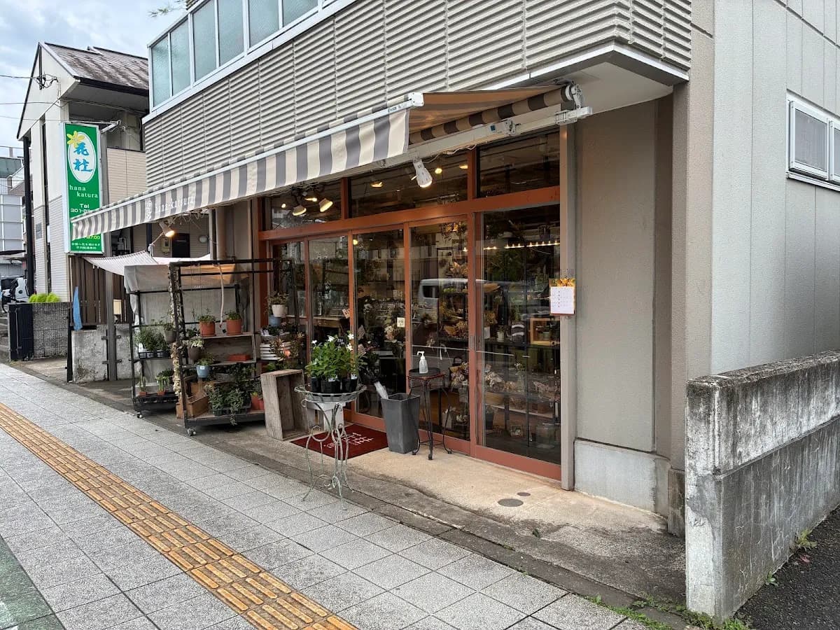 ㈲花桂