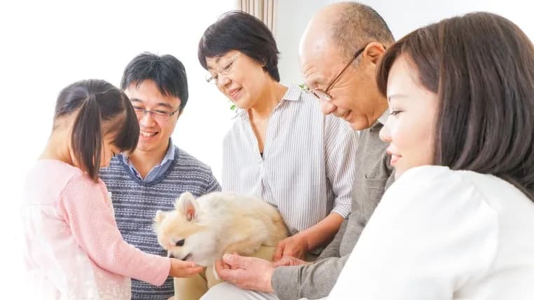 ペット火葬MOMIJI姫路