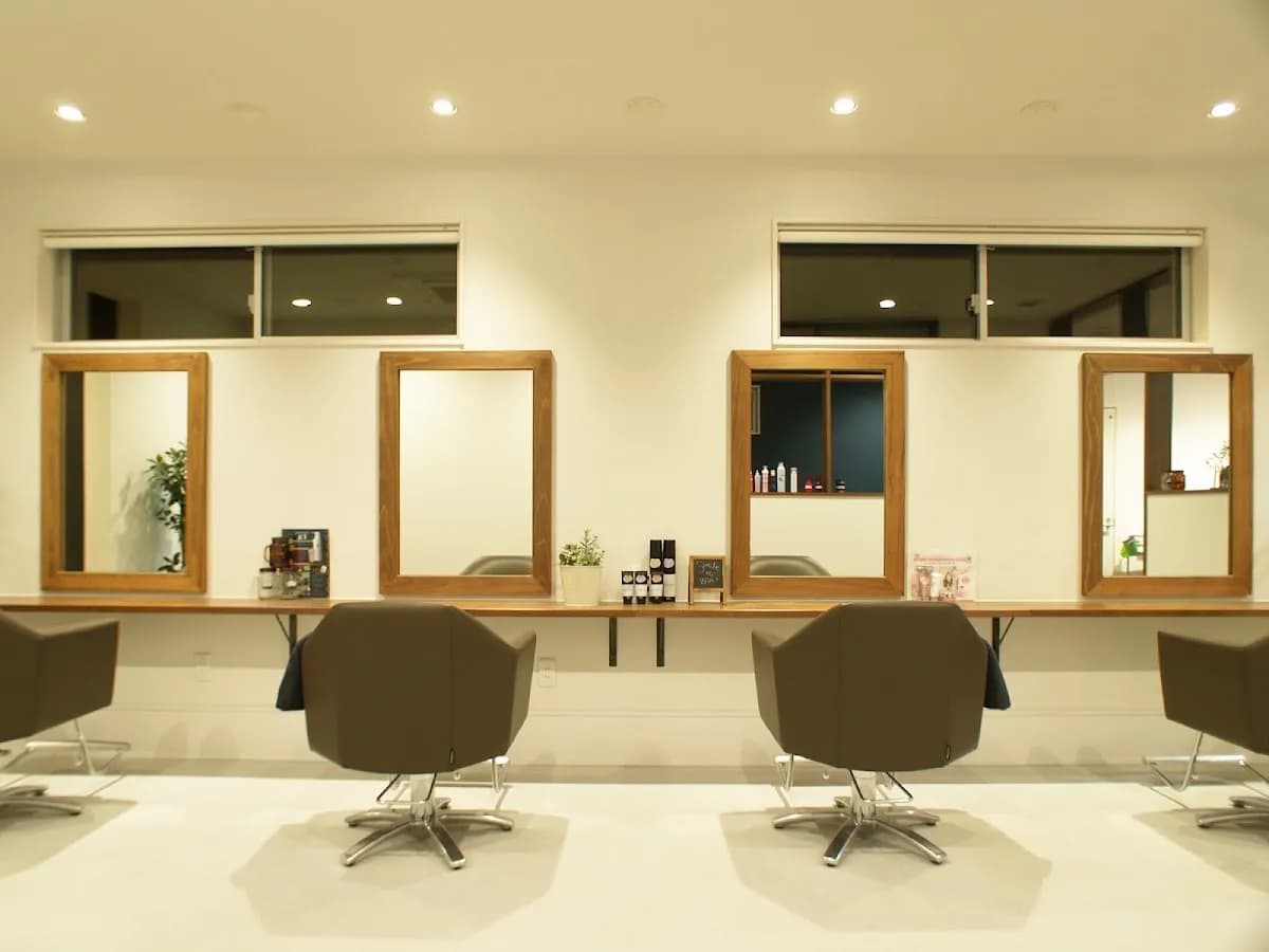 Hair Design LiB