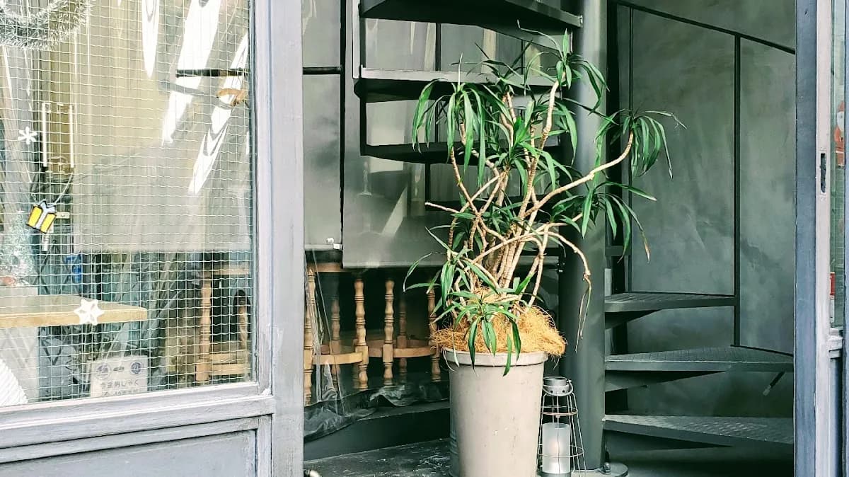 Bamboograss(バンブーグラス)