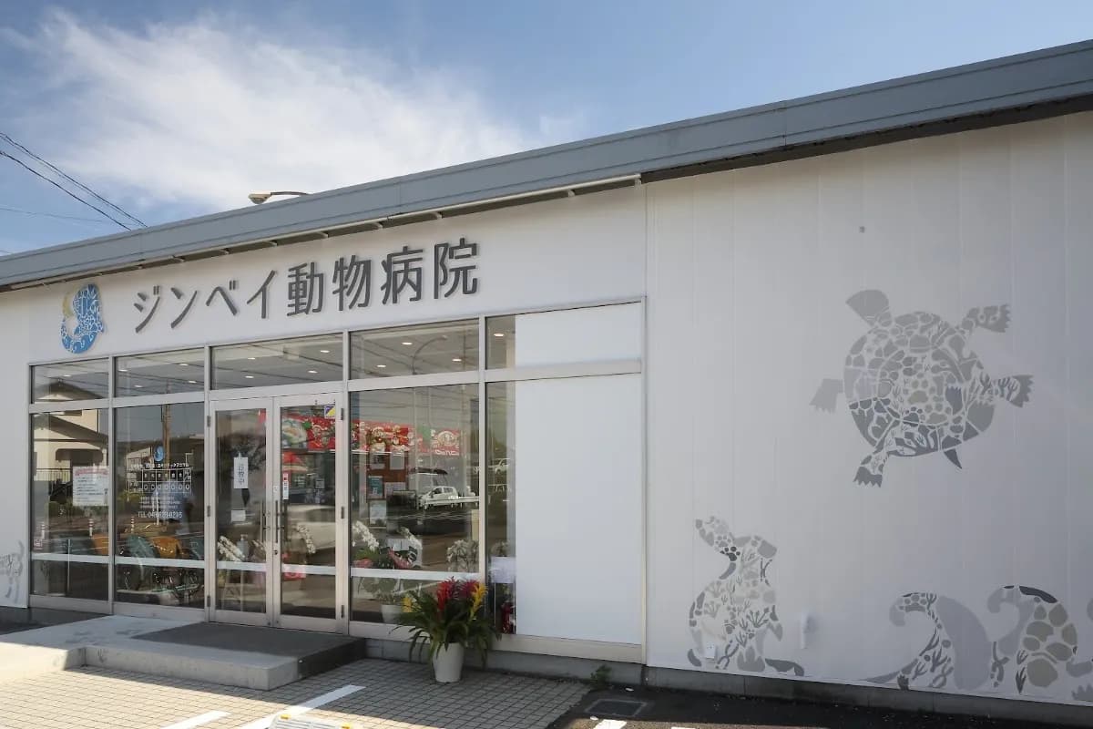ジンベイ動物病院