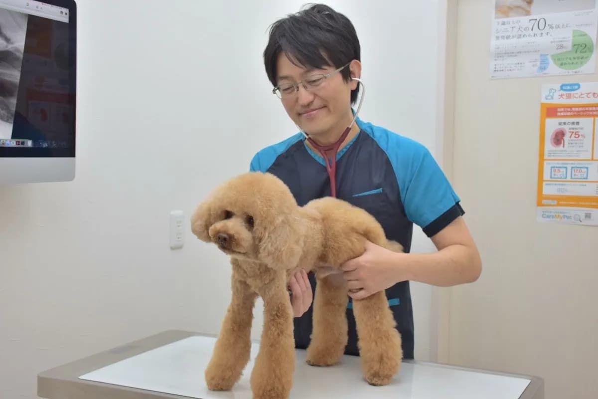 くるり動物病院にとな