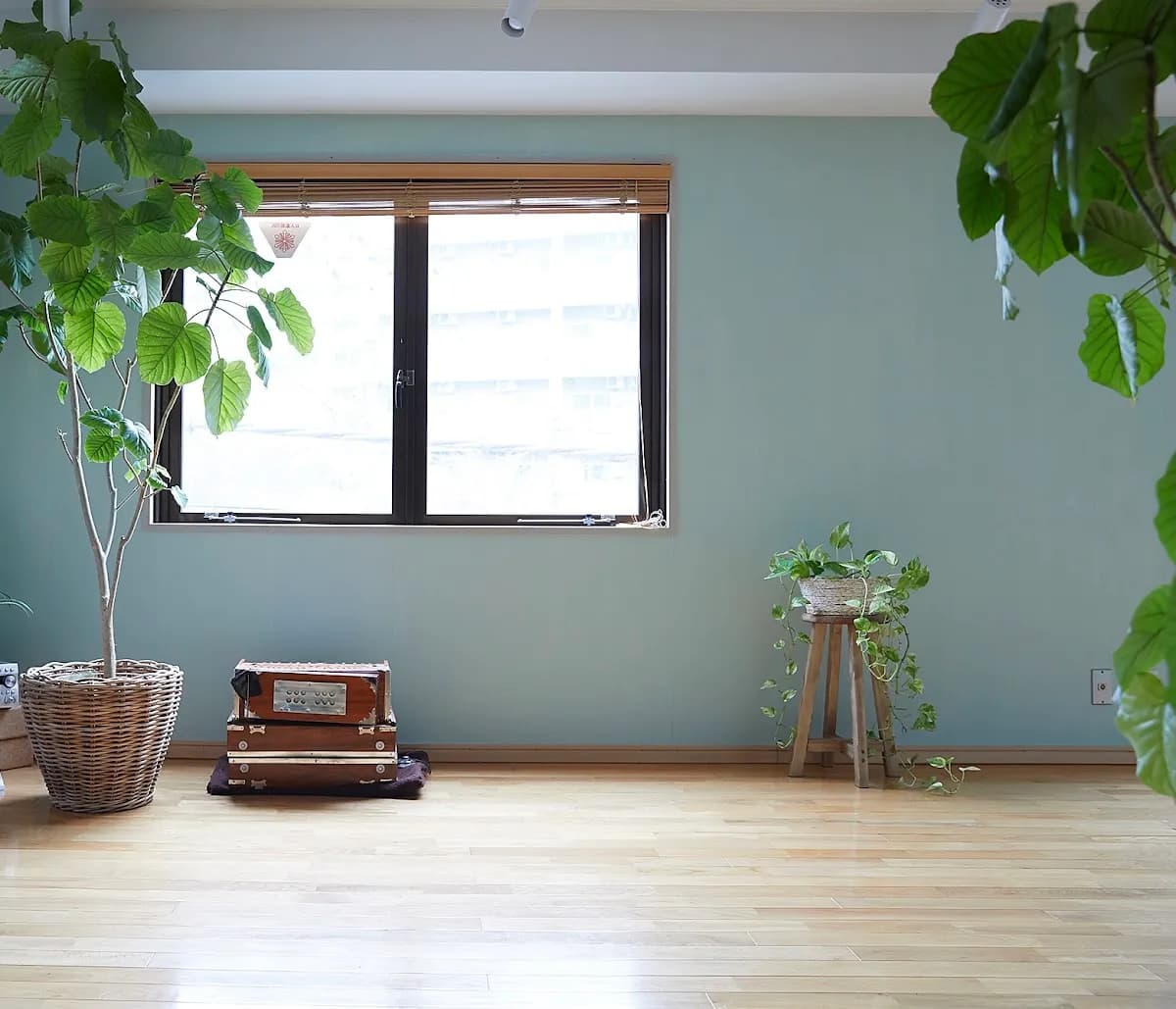 千葉ヨガセンター(CHIBA YOGA CENTER)