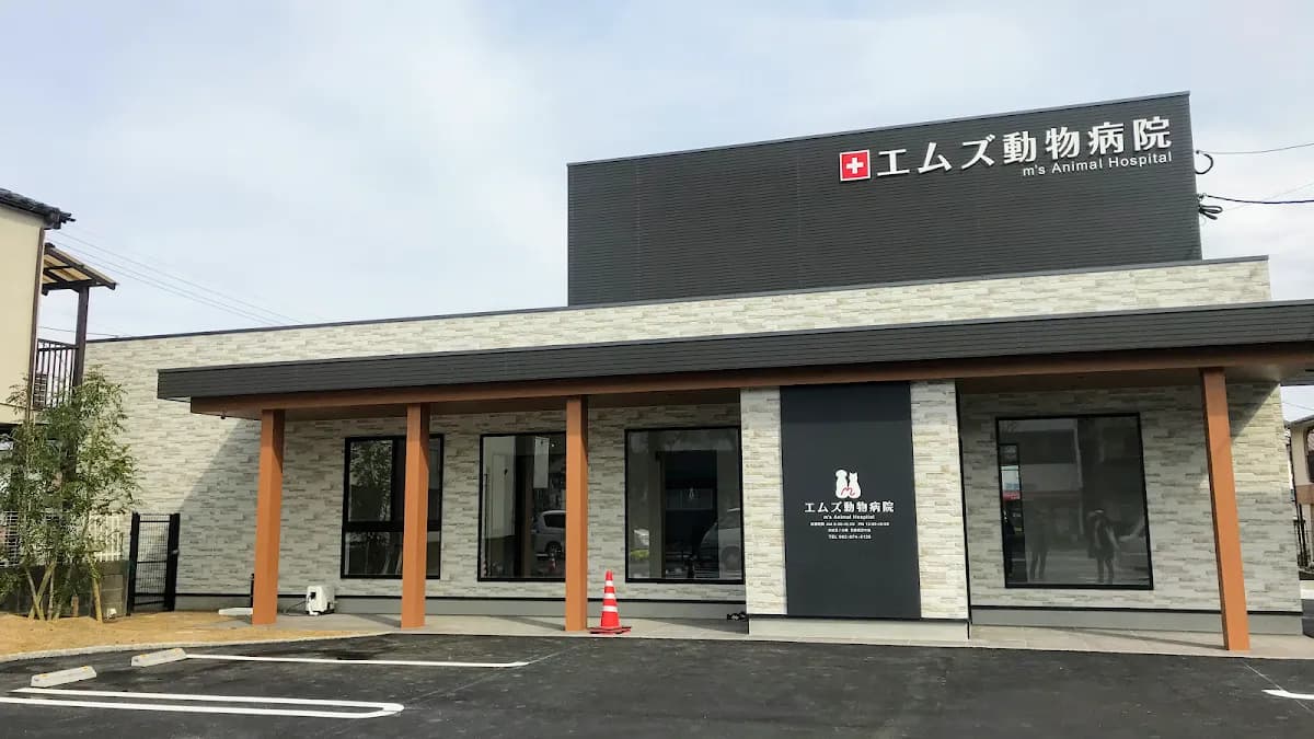 エムズ動物病院