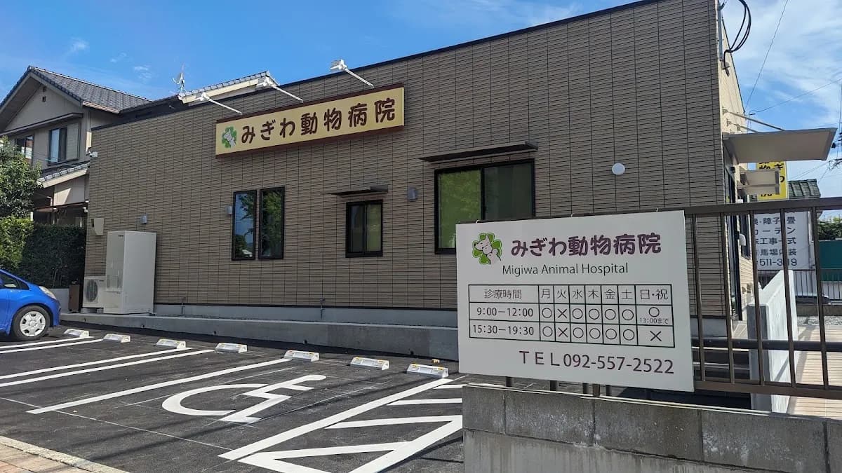 みぎわ動物病院