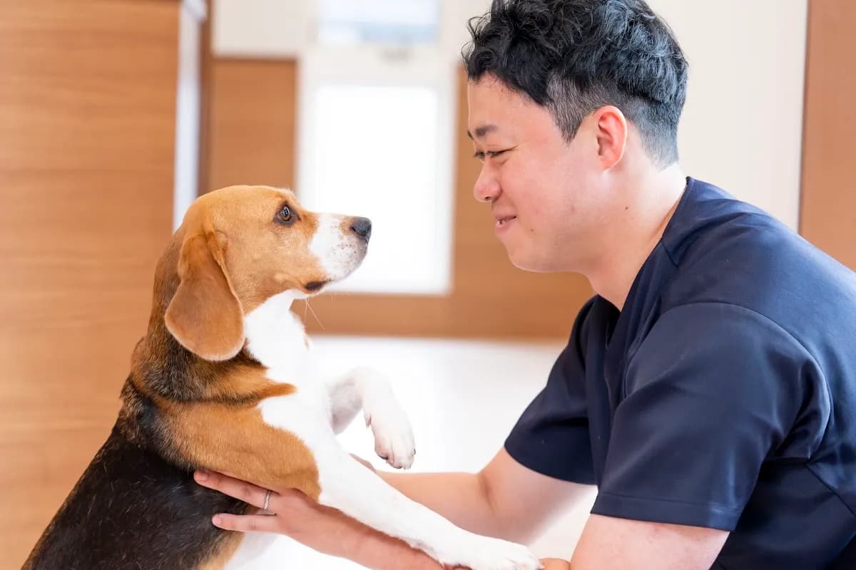 仙台ライフ動物病院