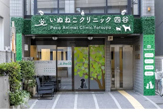四谷いぬねこクリニックPeco(猫専用待合室完備)