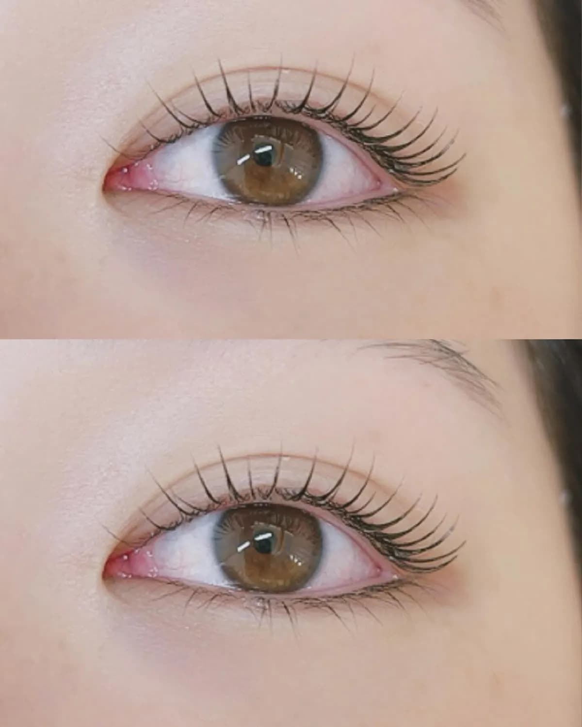 eyelash&eyebrow Miumoa【ミューモア】