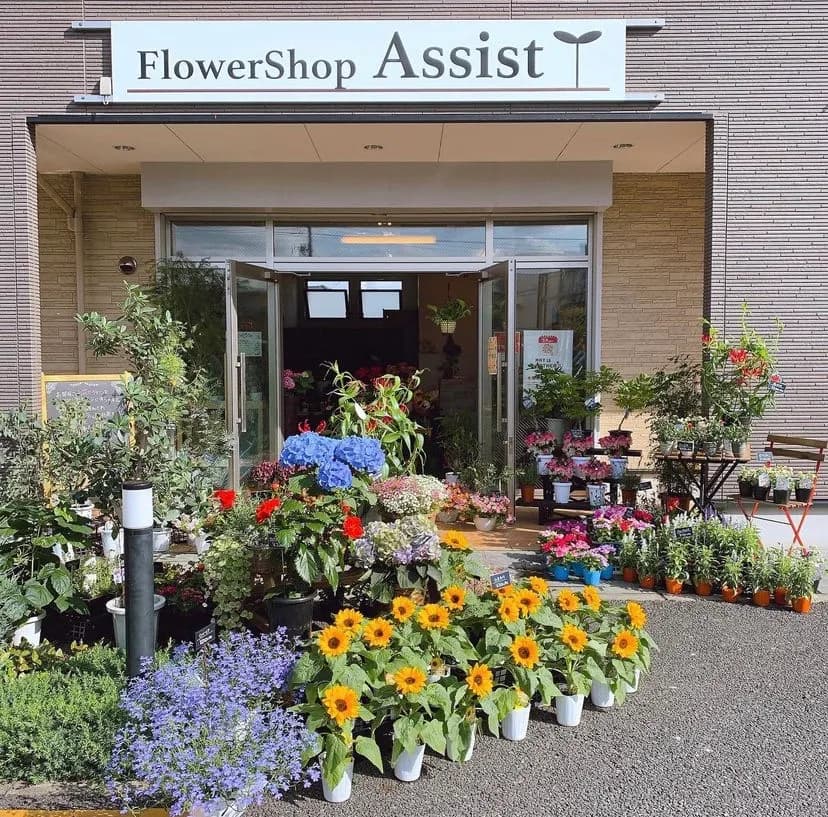 FlowerShop Assist