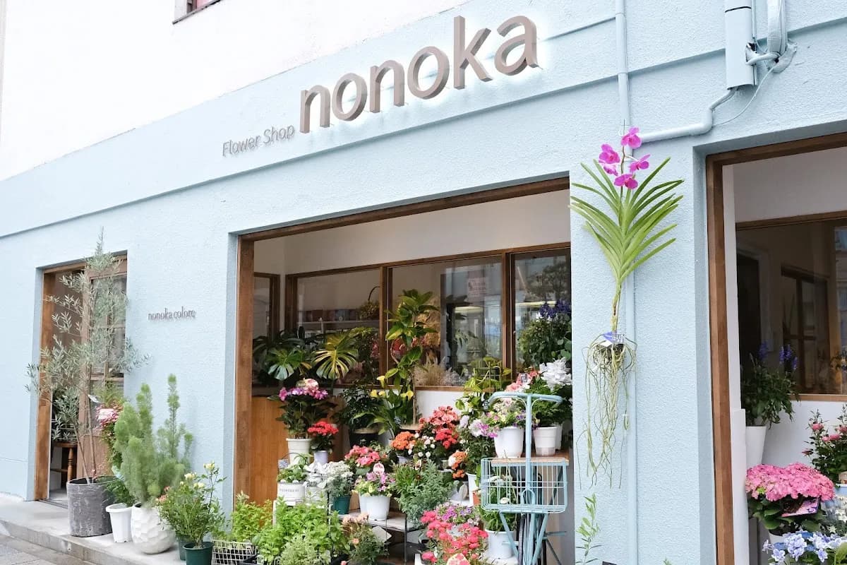 nonoka colore