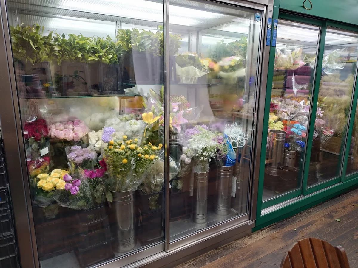 風花福岡本店