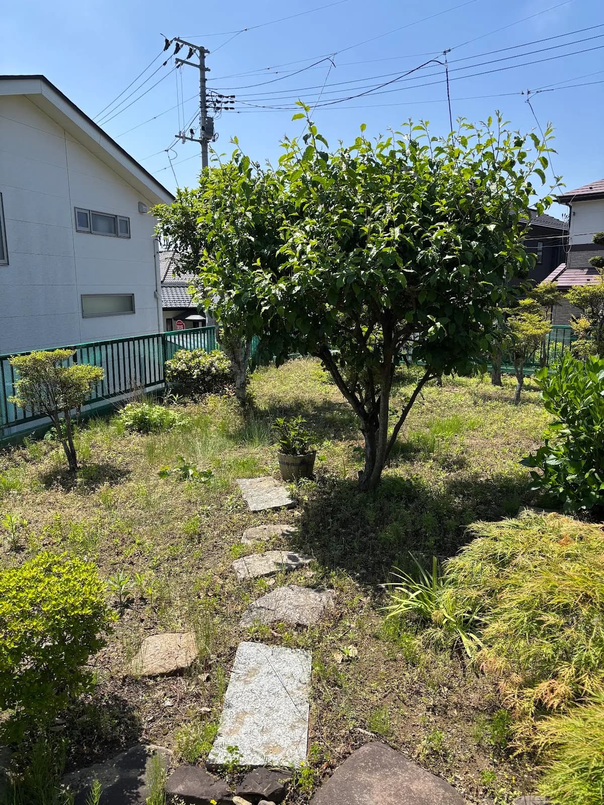 マルセンサービス