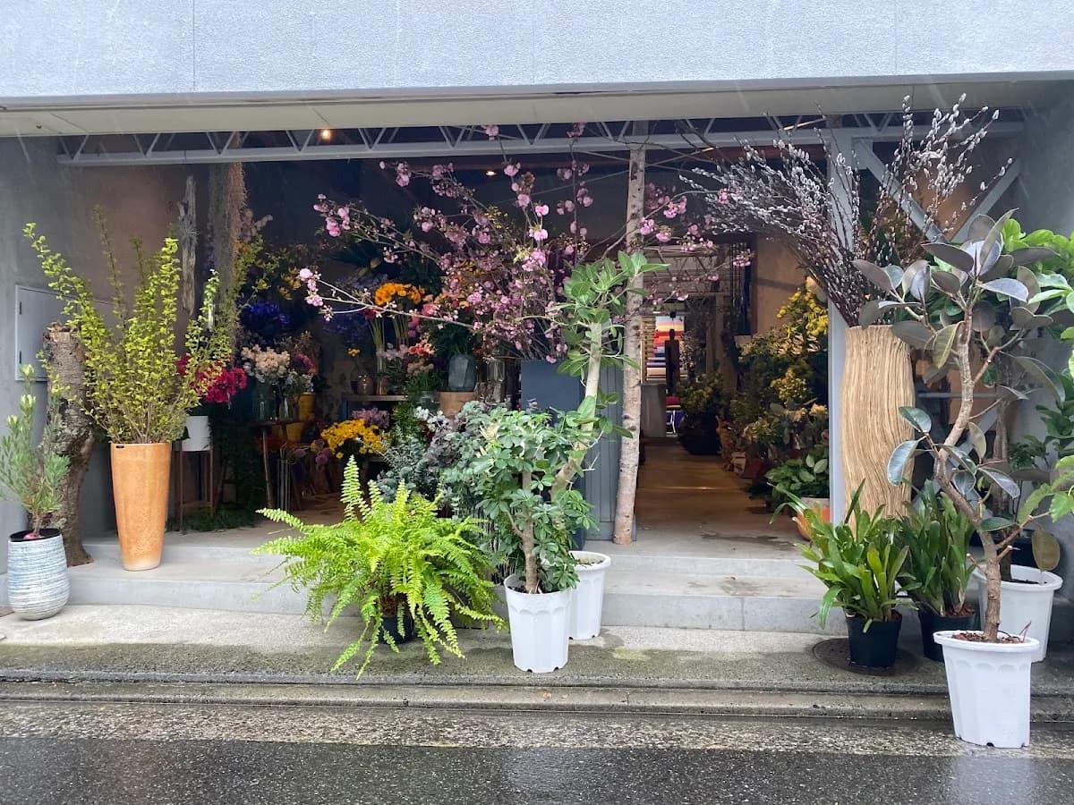シャムロック