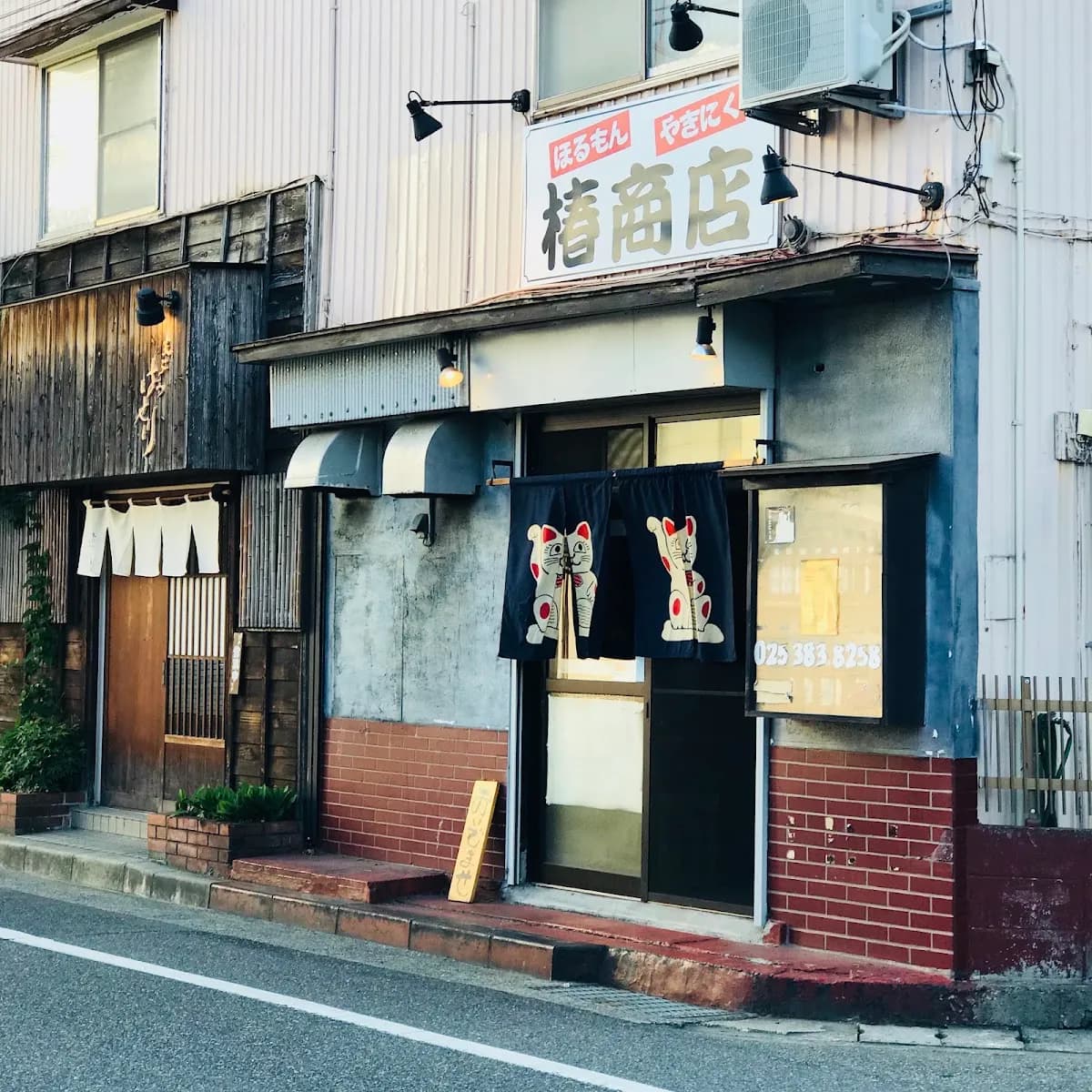 ほるもん やきにく 椿商店