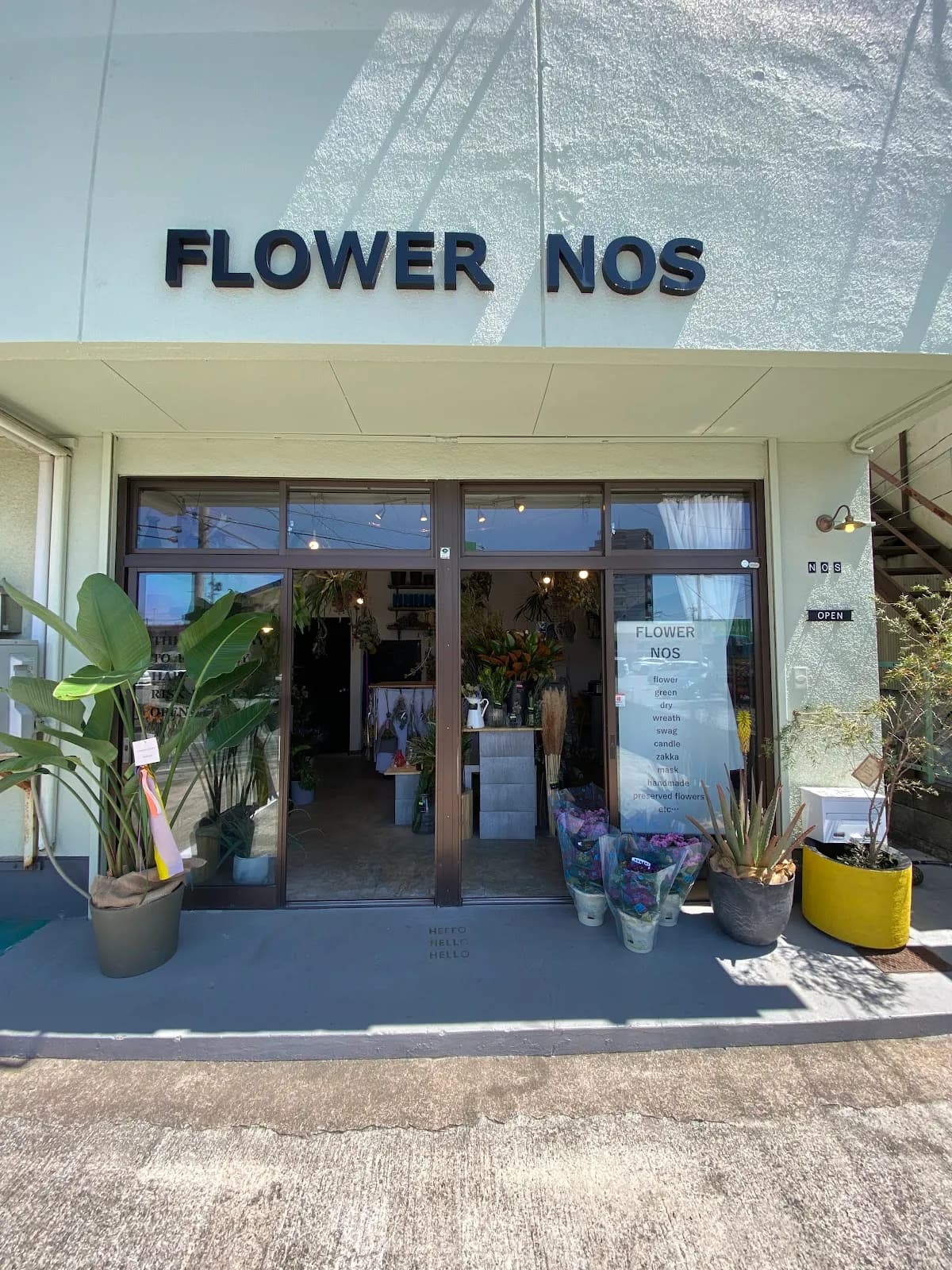FLOWER NOS