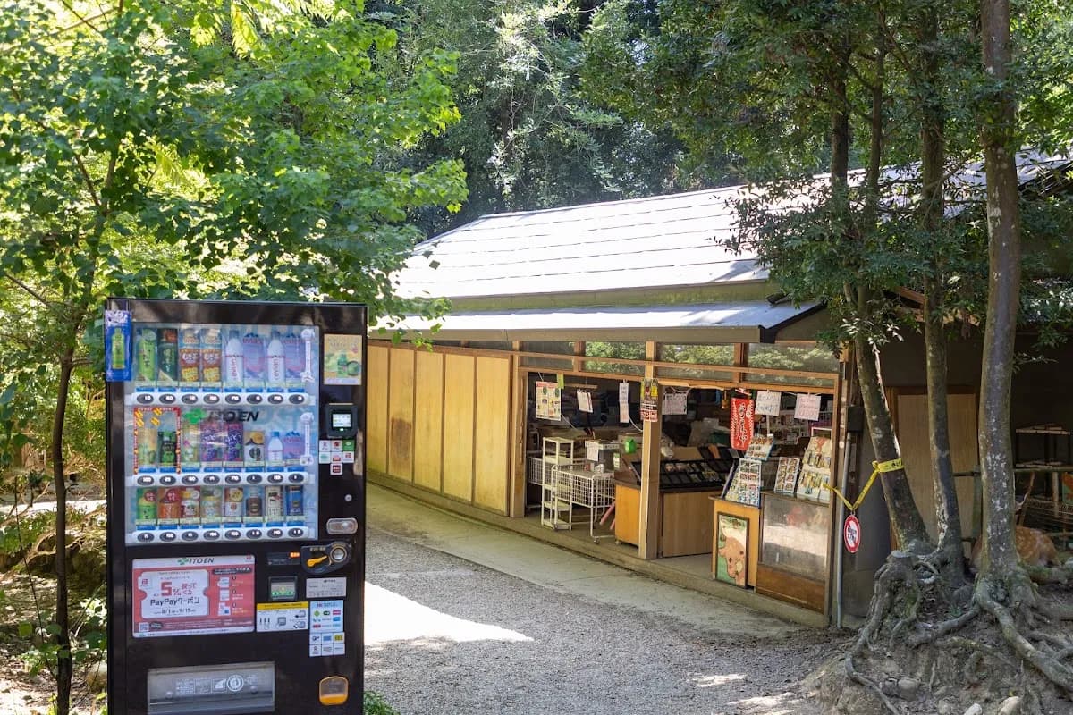 春日大社結婚式挙式トータルサポート煌 奈良本店