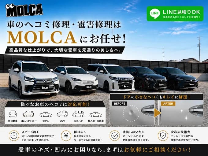 株式会社Molca